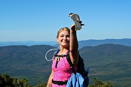 Birding in New Hampshire